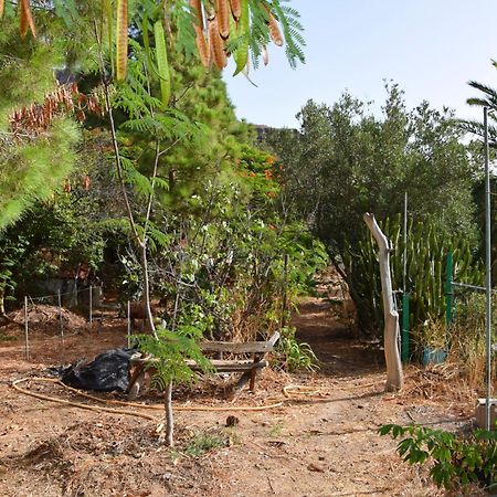 La Casa De Los Pinos Temisas Exteriör bild
