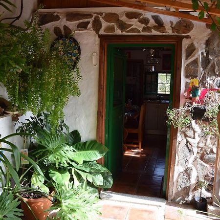 La Casa De Los Pinos Temisas Exteriör bild